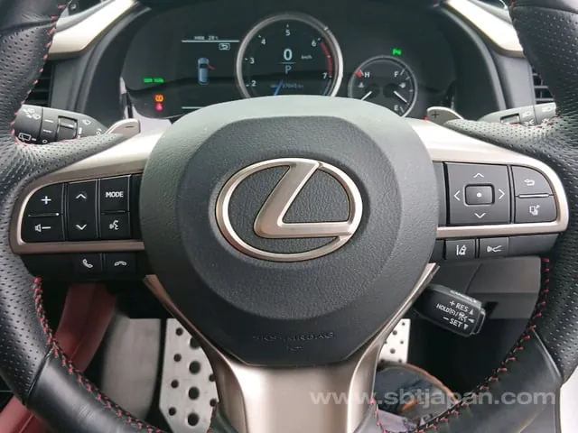 Lexus Rx300F 2017 photo 4