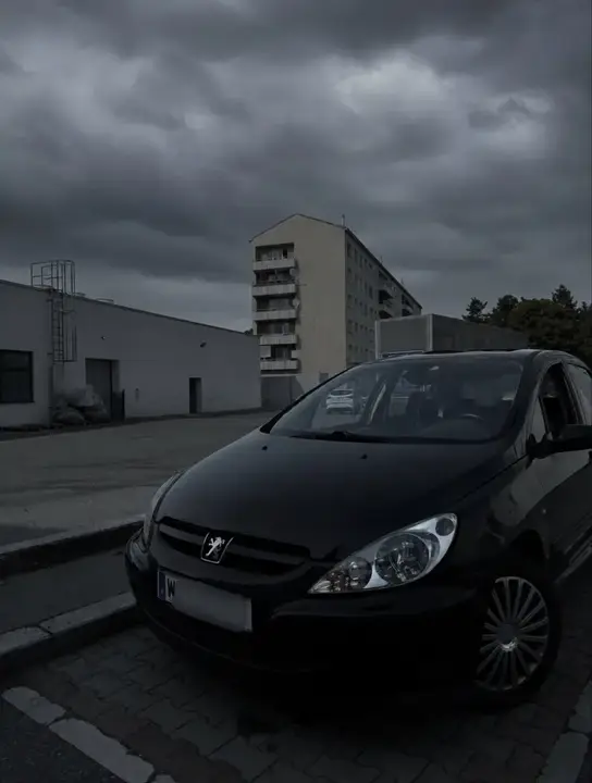 Peugeot 307 2005 photo 3