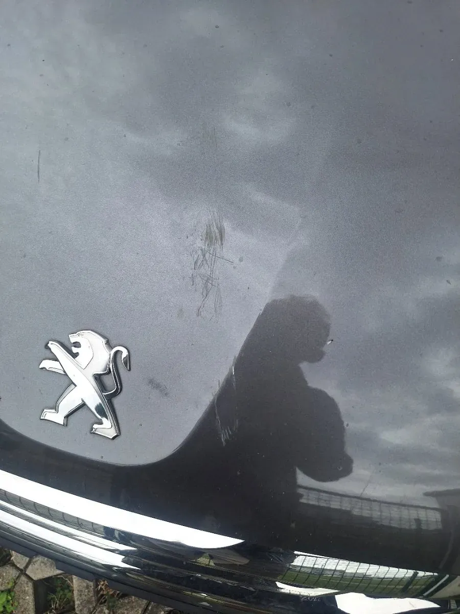 Peugeot 2008 2016 photo 2