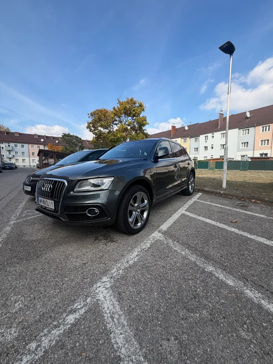 Audi Q5 2013 photo 2