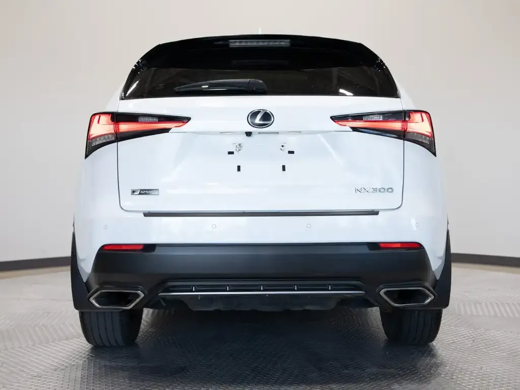 Lexus Nx 2020 photo 4