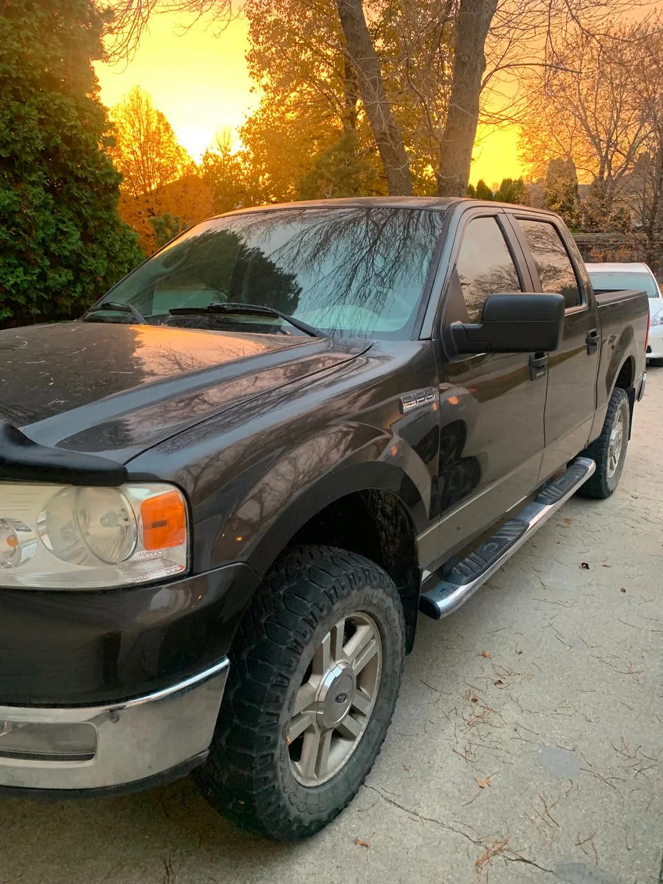 Ford F-150 2005 photo 3