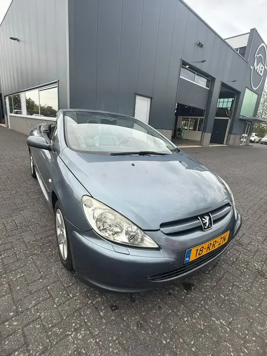 Peugeot 307