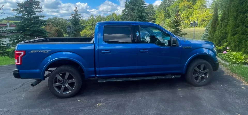 Ford F-150 2016 photo 3