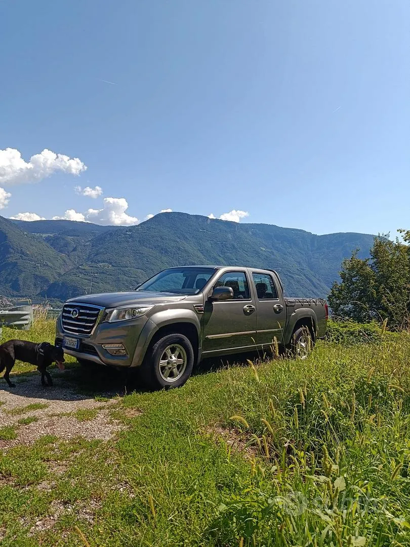 Great Wall Steed