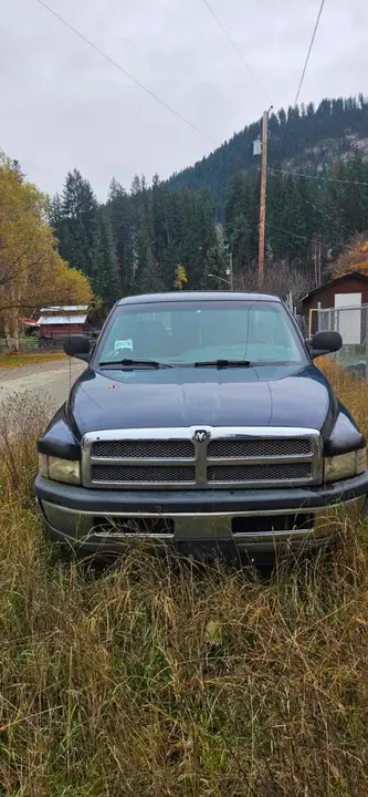 Dodge 1500 2001 photo 2