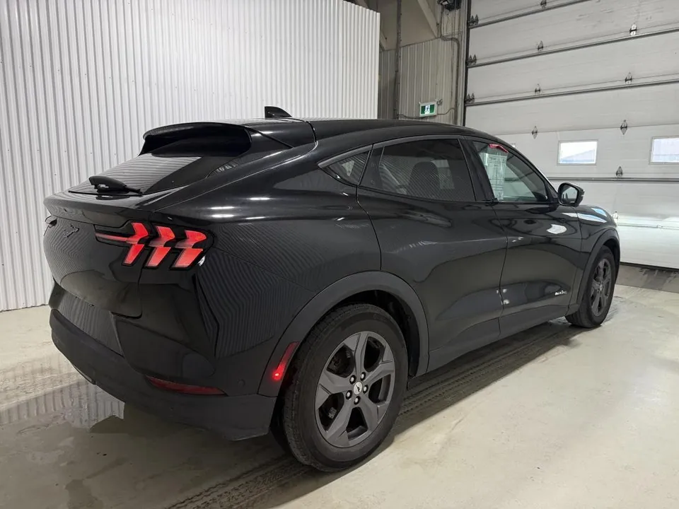 Ford Mustang Mach-E 2023 photo 5