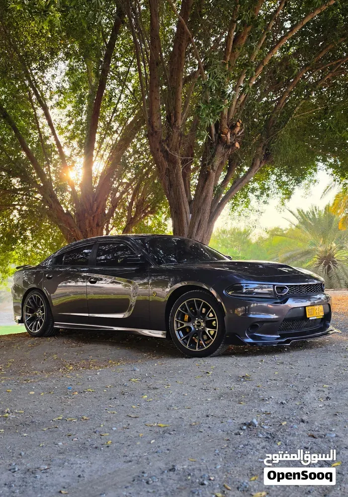Dodge Charger 2021 photo 5