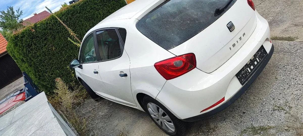 Seat Ibiza 2002 photo 3