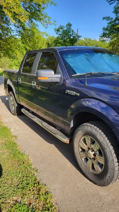 Ford F-150 2010 photo 3