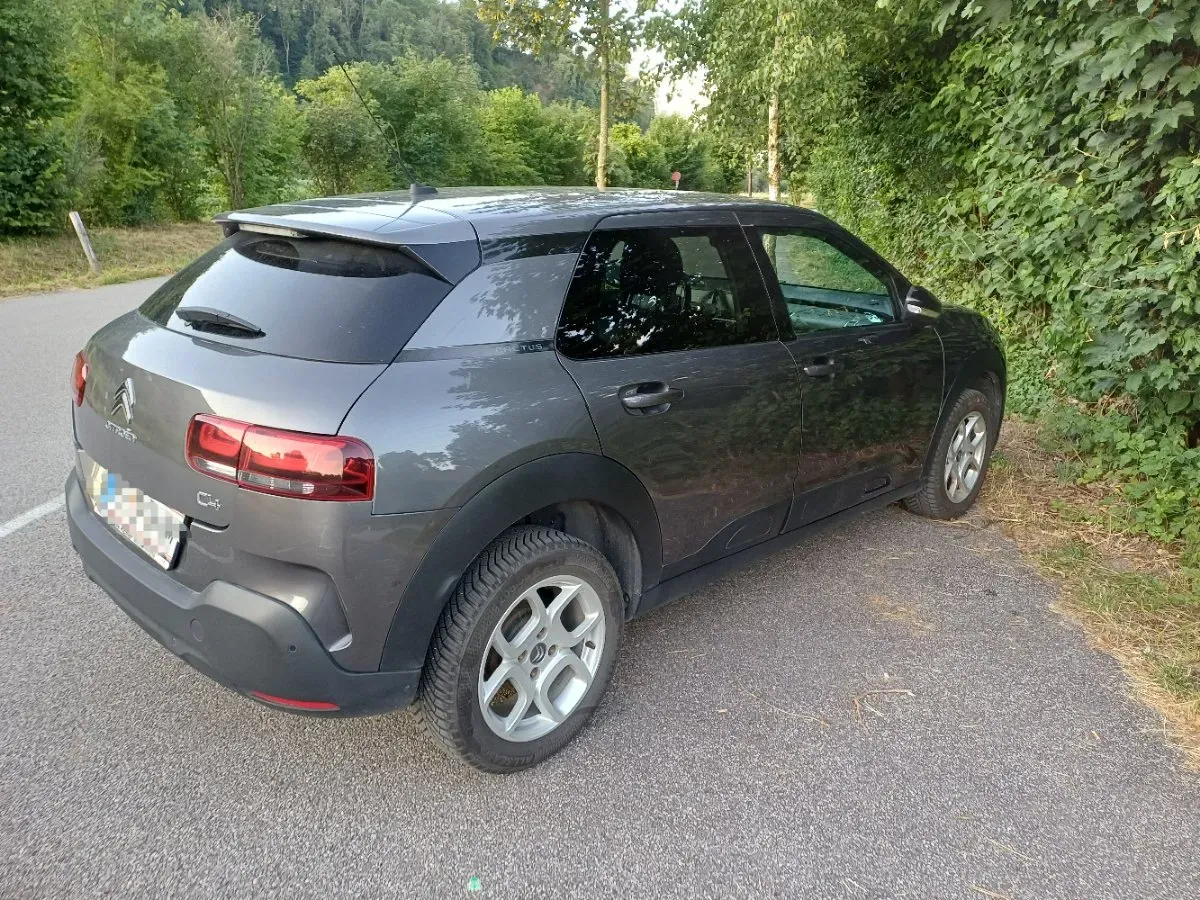 Citroen C4 Cactus 2018 photo 2
