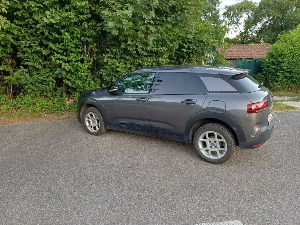 Citroen C4 Cactus