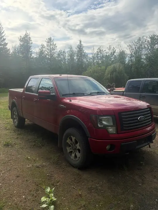 Ford F-150 2011 photo 2