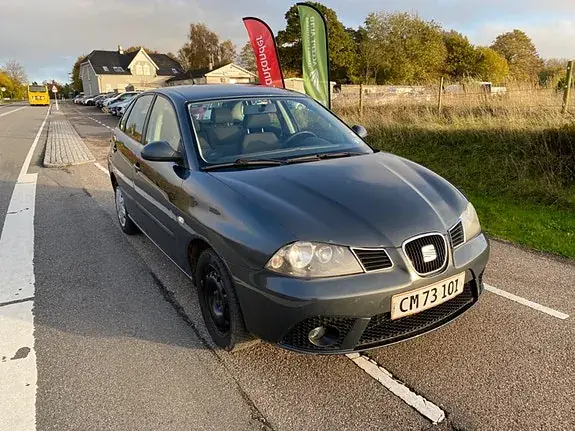 Seat Ibiza 2007 photo 5