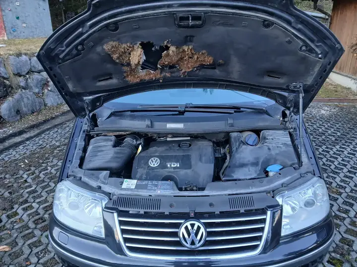 Volkswagen Sharan 2007 photo 3