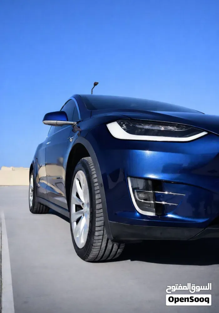 Tesla Model X 2019 photo 4
