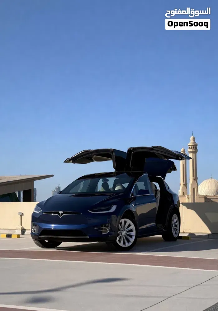 Tesla Model X 2019 photo 2