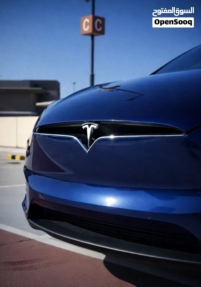 Tesla Model X 2019 photo 3