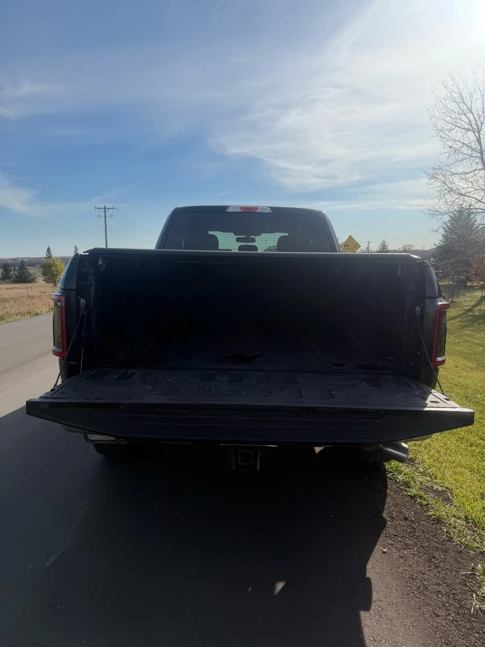 Ford F-150 2017 photo 4