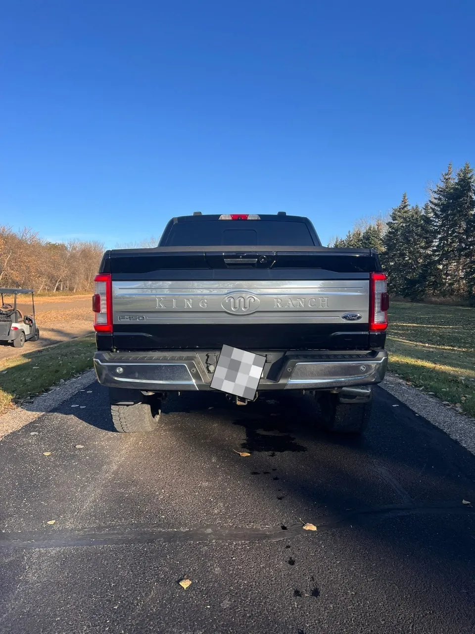 Ford F-150 2021 photo 3