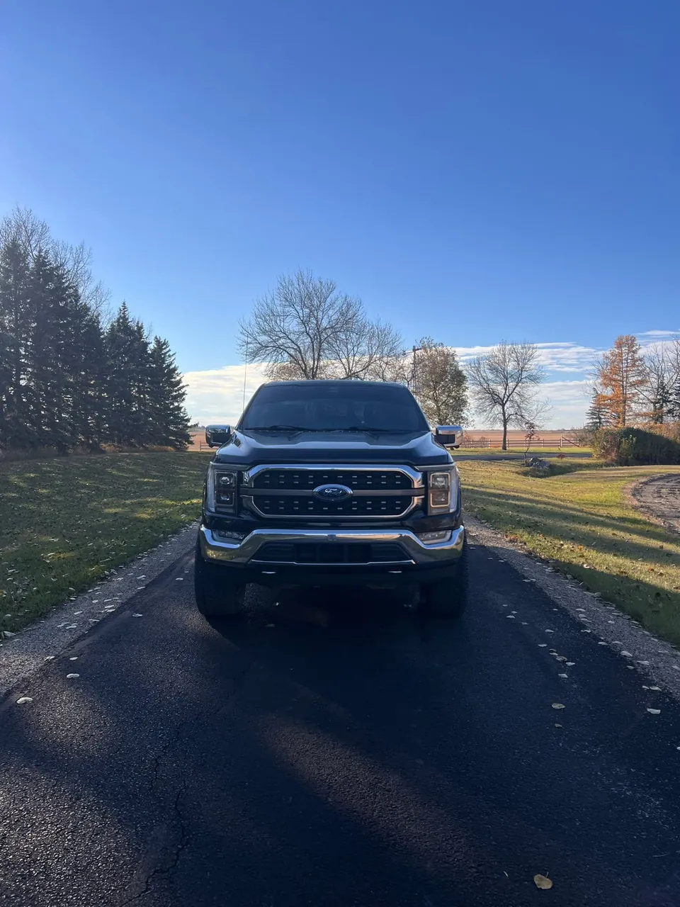 Ford F-150 2021 photo 2