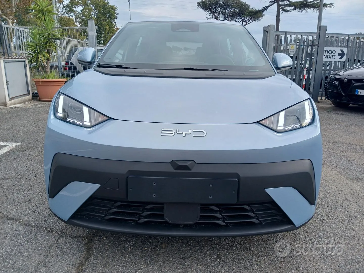 BYD Dolphin 2026 photo 2