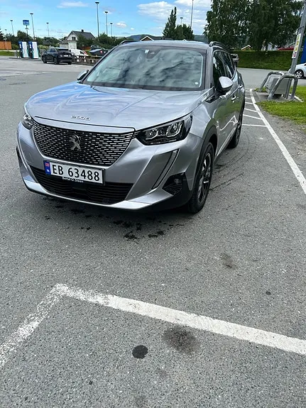 Peugeot E-2008