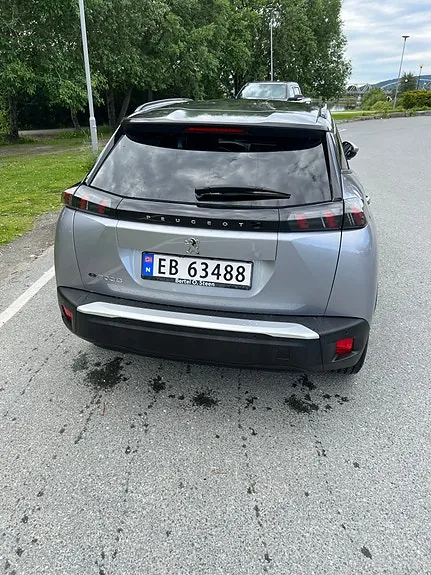 Peugeot E-2008 2020 photo 3