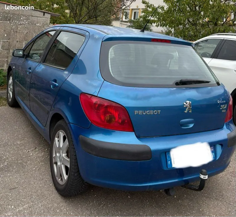 Peugeot 307 2003 photo 2
