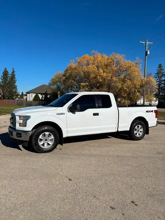 Ford F-150 2015 photo 2