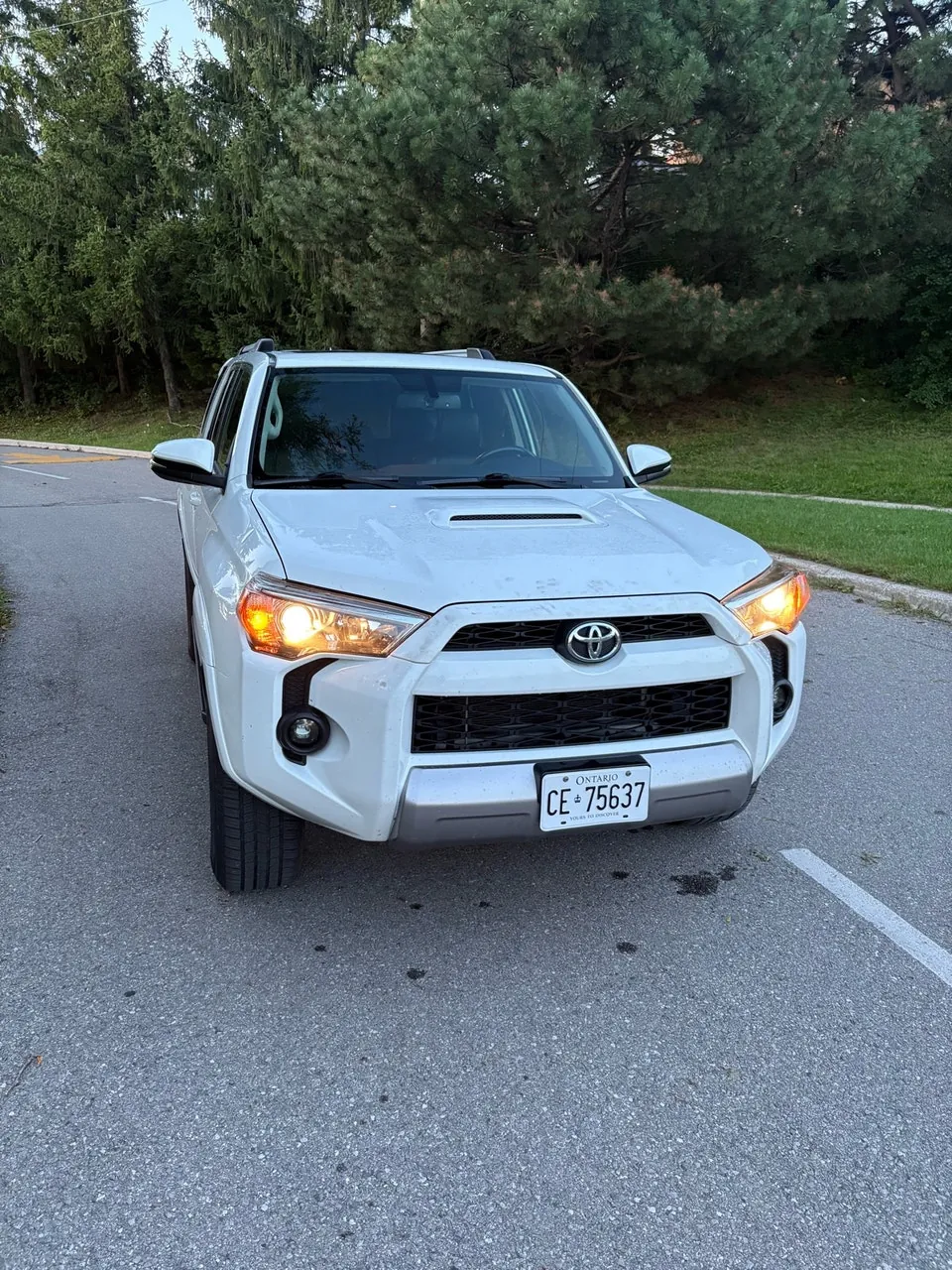 Toyota 4Runner 2016 photo 3