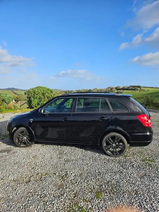 Skoda Fabia 2014 photo 4