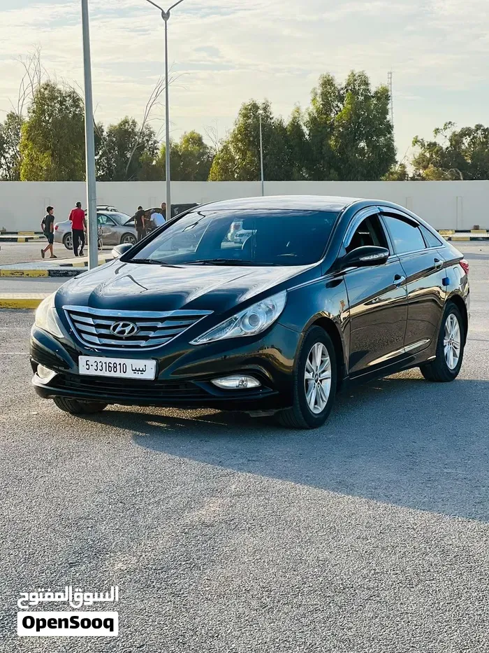 Hyundai Sonata 2010 photo 2