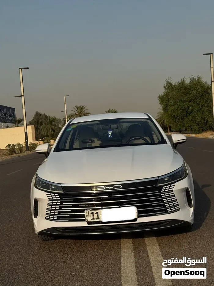 BYD Destroyer 05