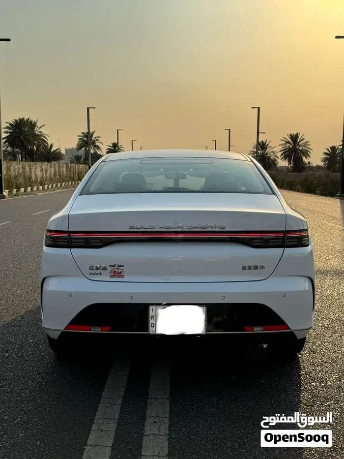 BYD Destroyer 05 2025 photo 4