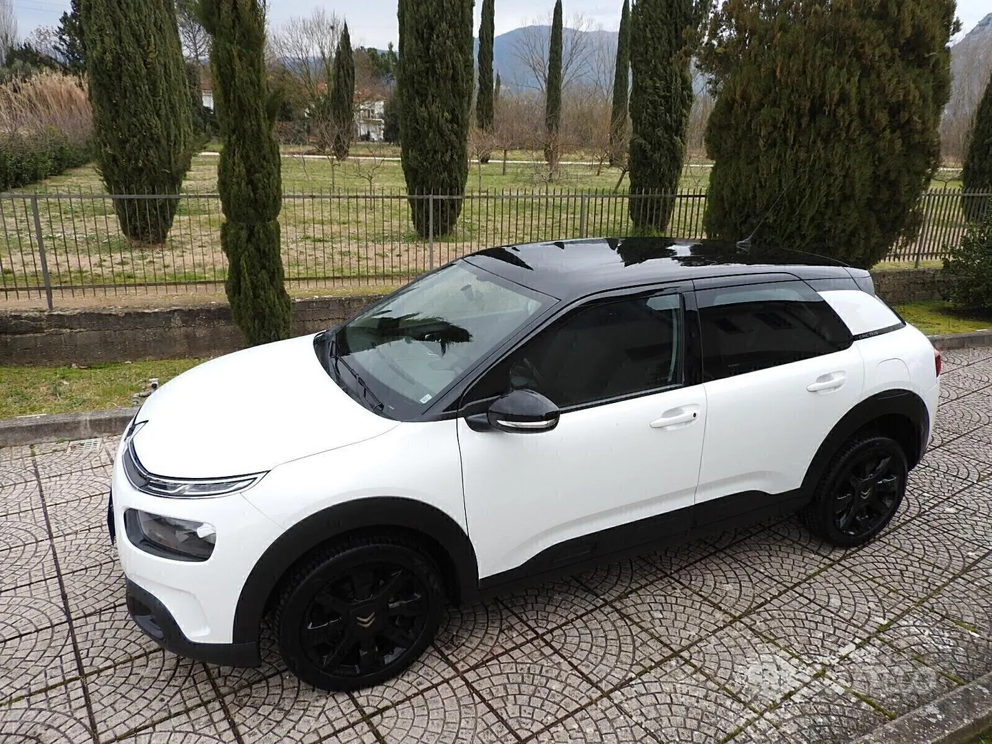 Citroen C4 Cactus 2019 photo 5