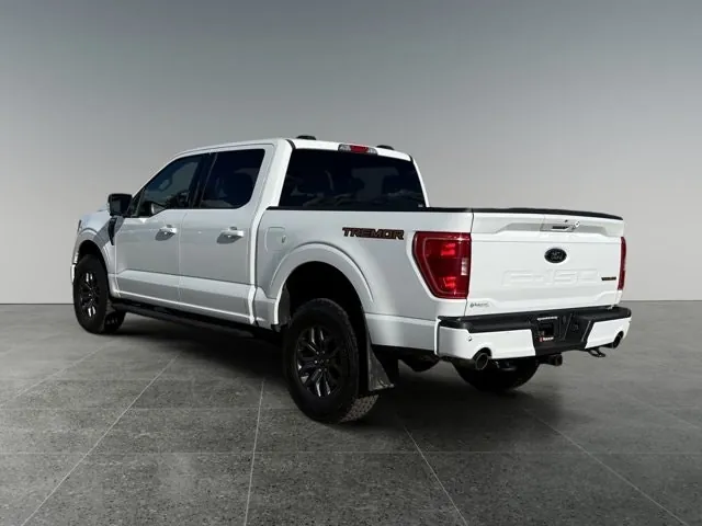 Ford F-150 2023 photo 4
