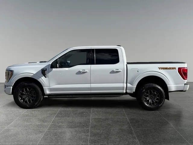Ford F-150 2023 photo 2