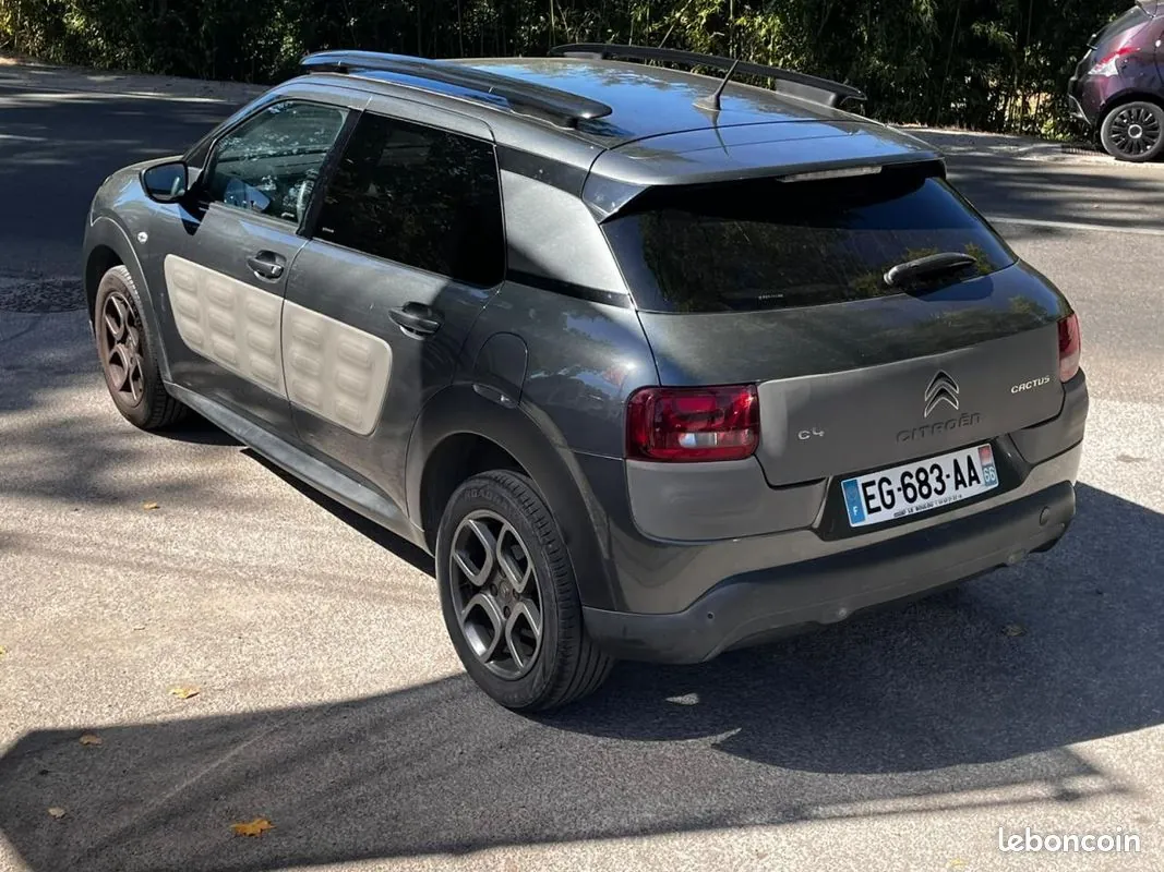 Citroen C4 Cactus 2015 photo 5