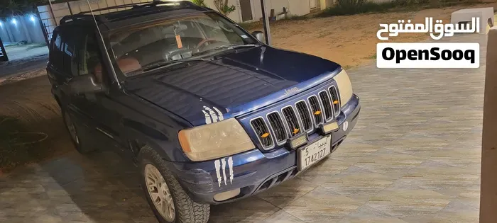 Jeep Grand Cherokee 2004 photo 4
