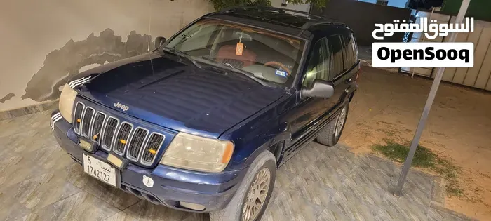 Jeep Grand Cherokee 2004 photo 2