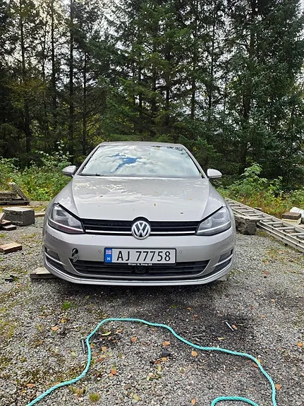 Volkswagen Golf Vii 2013 photo 2