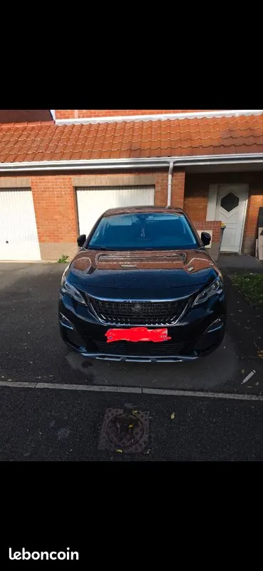 Peugeot 3008 2019 photo 2