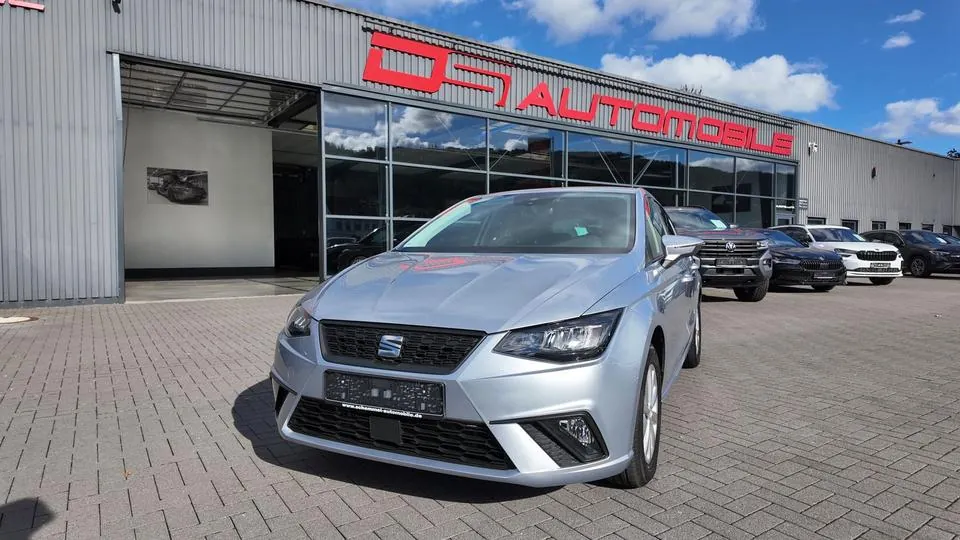 Seat Ibiza Style