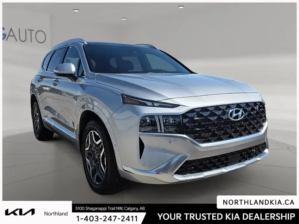 Hyundai Santa Fe 2021 photo 5