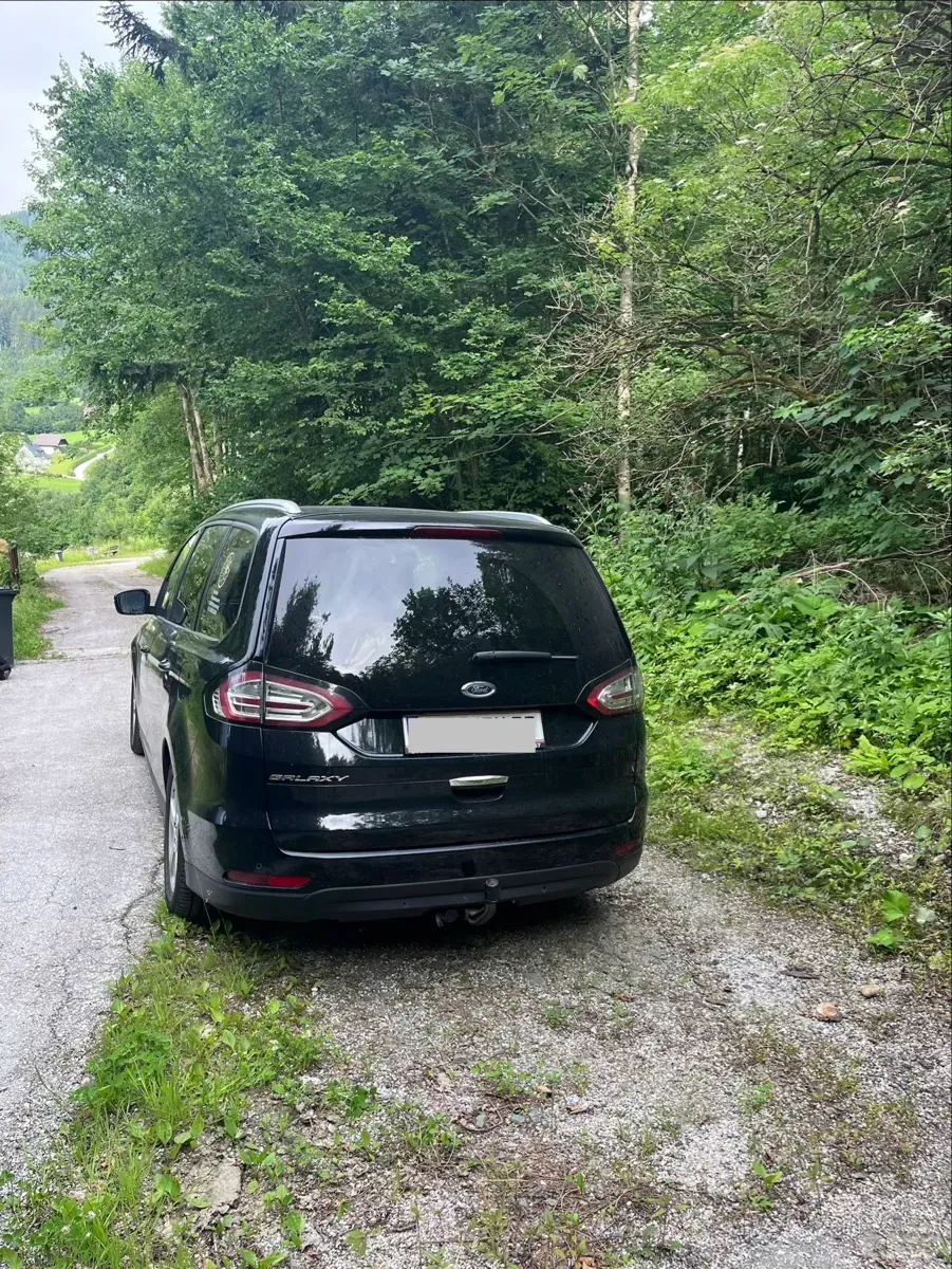 Ford Galaxy 2016 photo 3