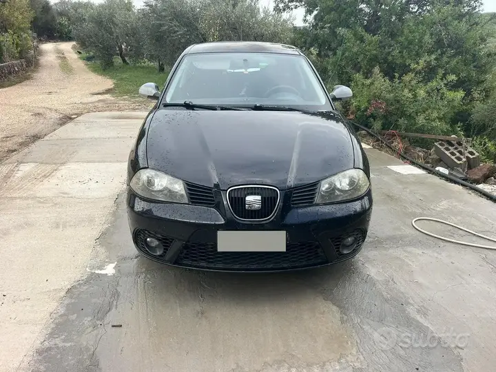 Seat Ibiza 2007 photo 4