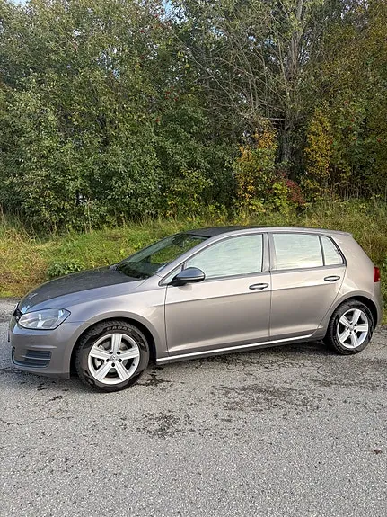 Volkswagen Golf Vii 2013 photo 2