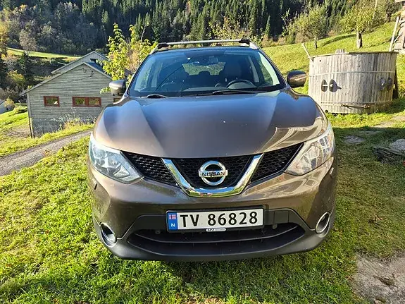 Nissan Qashqai 2014 photo 4