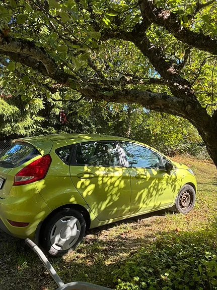Ford Fiesta 2010 photo 2